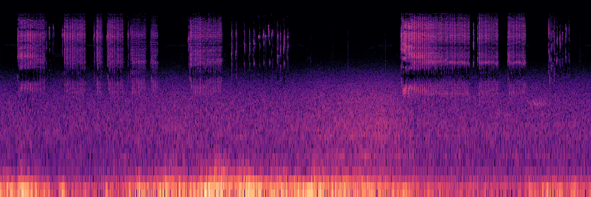 Spectrogram: American Red Squirrel Calls